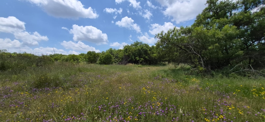 10 Bedroom Property for Sale in Swartruggens North West